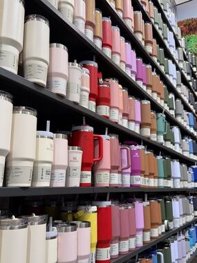 Assorted Stainless Tumblers in Soft Neutrals and Bold Hues